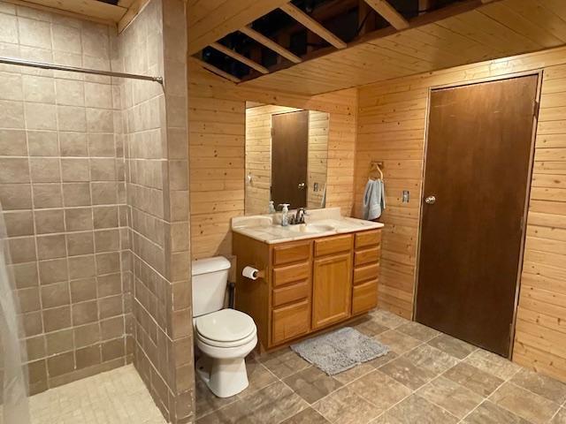 675 10th St, Granite Falls, MN 56241 - bathroom featuring wood walls, vanity, and tiled shower