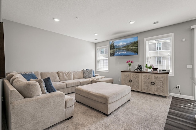 living room with wood-type flooring