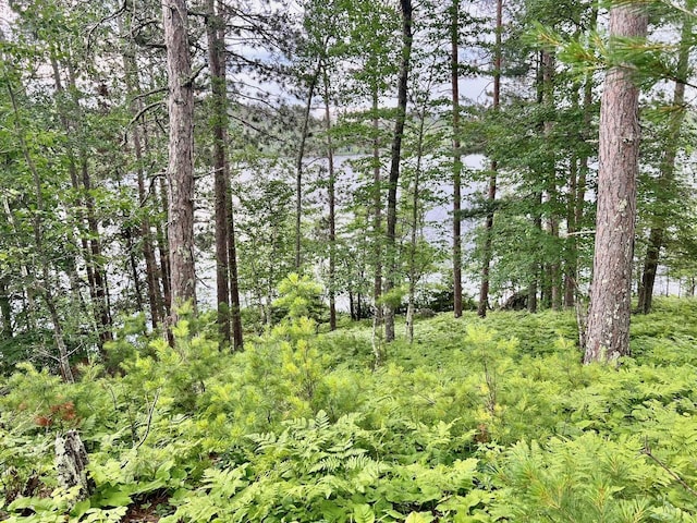 TBD Raps Rd, Beatty Twp MN, 55723 land for sale