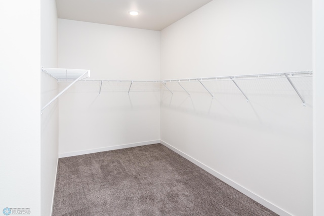 walk in closet with carpet floors