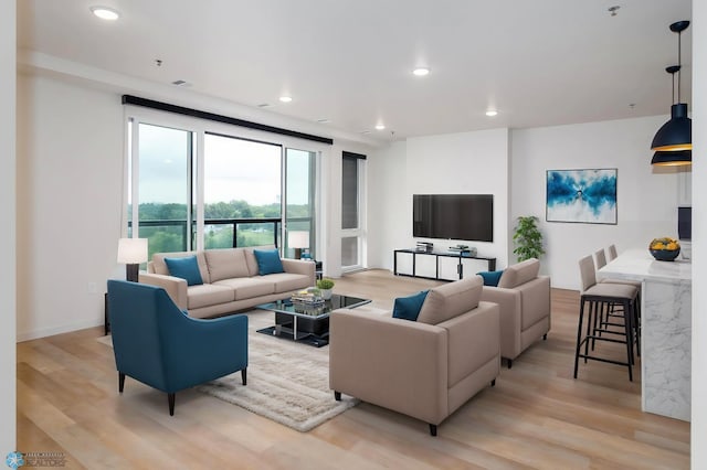 living room with light wood-type flooring