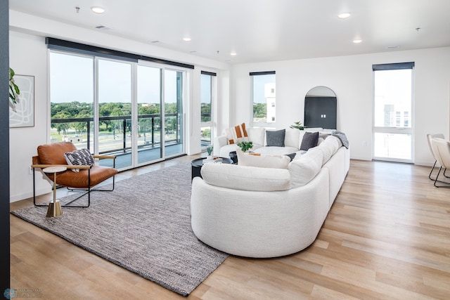 living room featuring light wood-type flooring