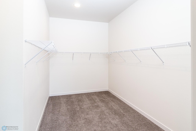 spacious closet with carpet floors