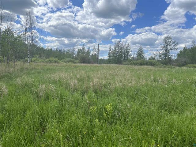 7XXX Kauppi Lake Rd, Cotton MN, 55724 land for sale