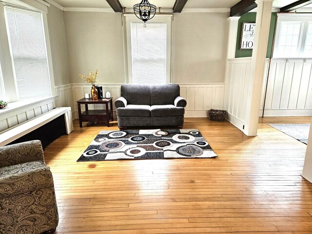 living area with a chandelier, light hardwood / wood-style floors, radiator, and ornamental molding