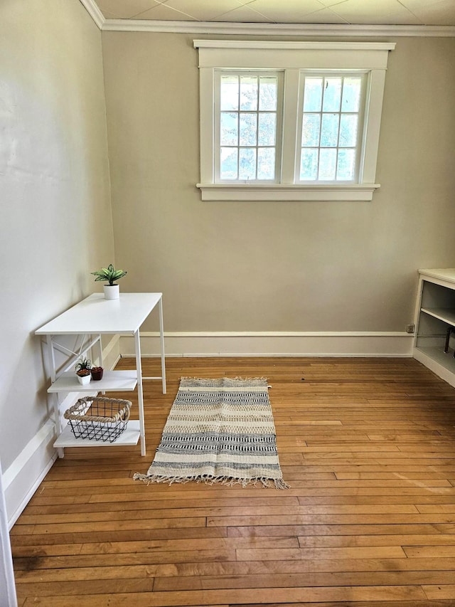 living area featuring light hardwood / wood-style floors and ornamental molding