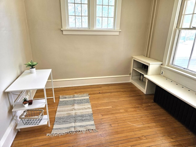 721 Labree Ave N, Thief River Falls, MN 56701 - unfurnished office with plenty of natural light, hardwood / wood-style floors, and baseboards