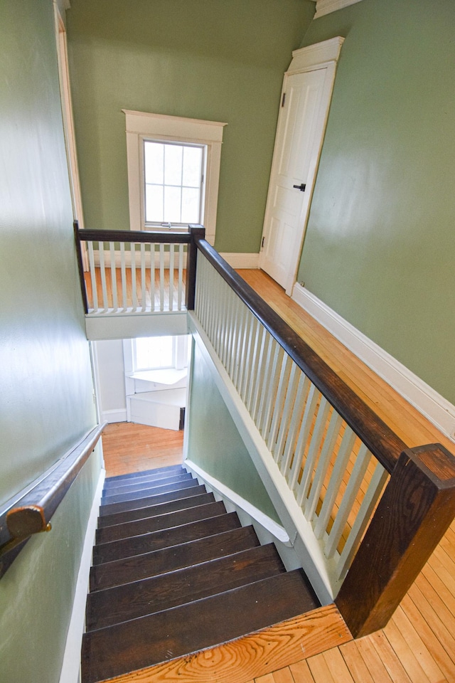 721 Labree Ave N, Thief River Falls, MN 56701 - stairway featuring hardwood / wood-style flooring and baseboards