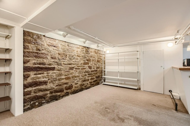 basement featuring carpet