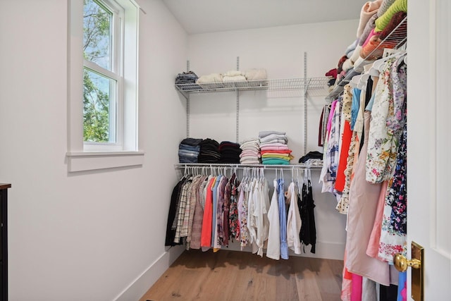 walk in closet featuring hardwood / wood-style floors