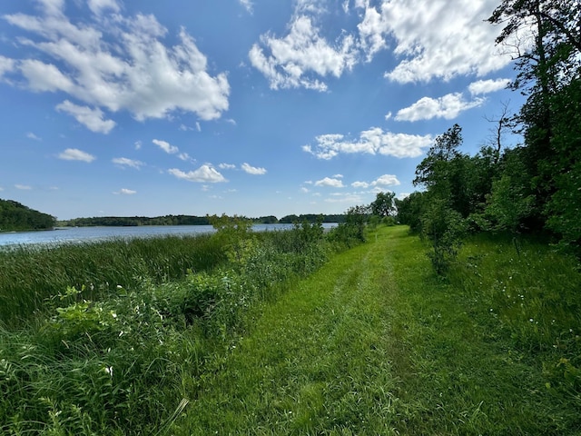 290XX Buffalo Lake Rd E, Callaway MN, 56521 land for sale