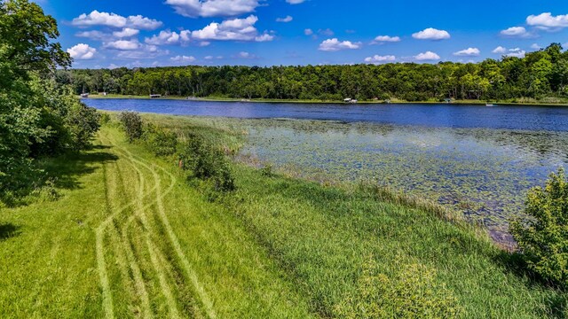 290XX Buffalo Lake Rd E, Callaway, MN 56521