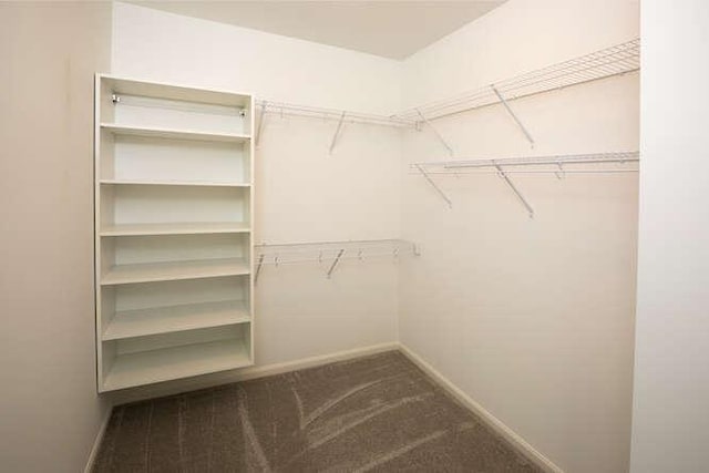 spacious closet featuring dark carpet