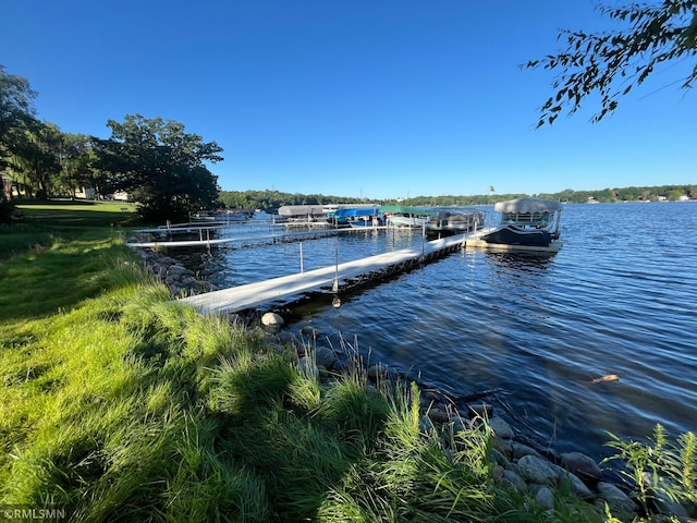 dock area with a water view