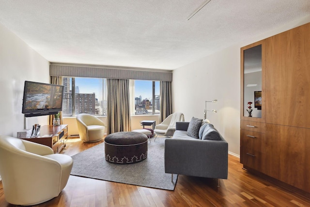 living room featuring a textured ceiling and wood finished floors