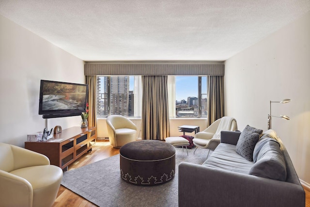 living area with a textured ceiling and wood finished floors