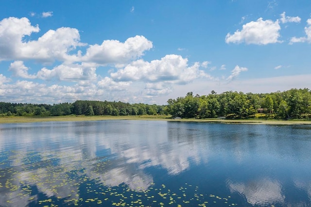 TBD Maple Ln, Bay Lake Twp MN, 56444 land for sale