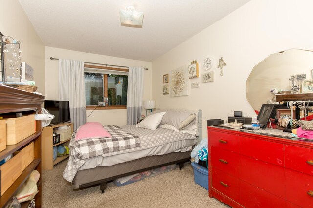 bedroom with light colored carpet