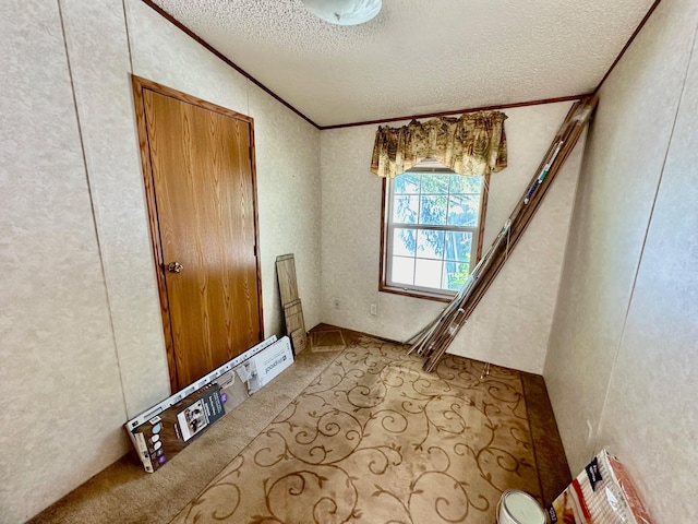 interior space featuring carpet floors, crown molding, and a textured ceiling