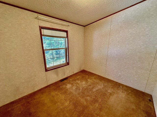 unfurnished room with carpet and a textured ceiling