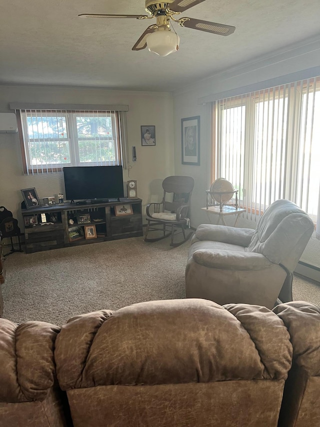 618 Memorial Pl, Dawson, MN 56232 - carpeted living room featuring a ceiling fan, an AC wall unit, and ornamental molding