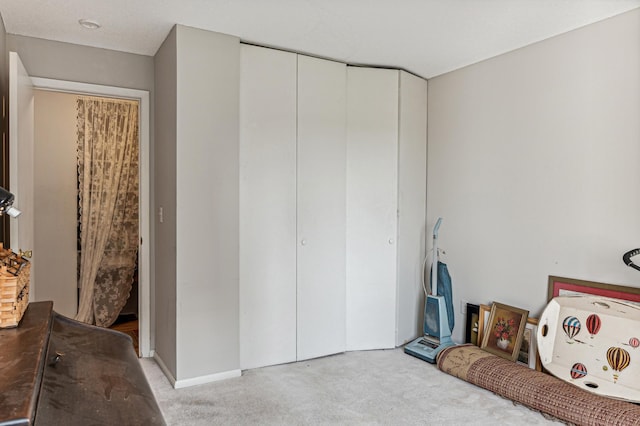 interior space with a closet and light colored carpet