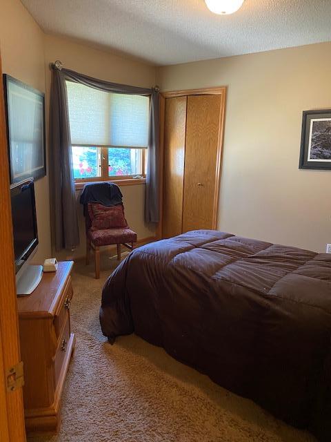 bedroom featuring carpet flooring, a closet, and a textured ceiling