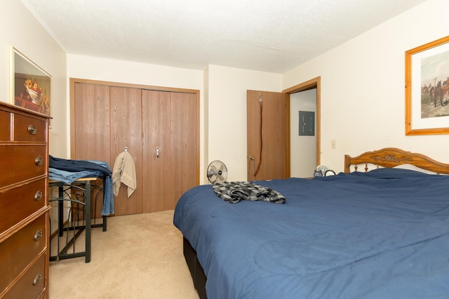 1600 Roundhouse Cir, Shakopee, MN 55379 - bedroom with a closet, carpet flooring, and electric panel