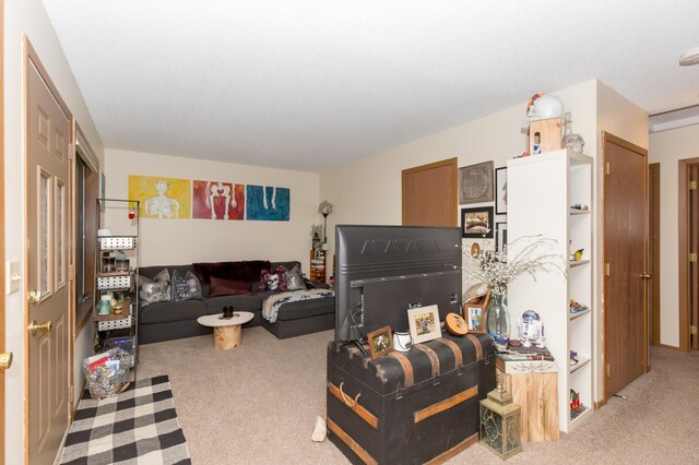 1600 Roundhouse Cir, Shakopee, MN 55379 - view of carpeted living room