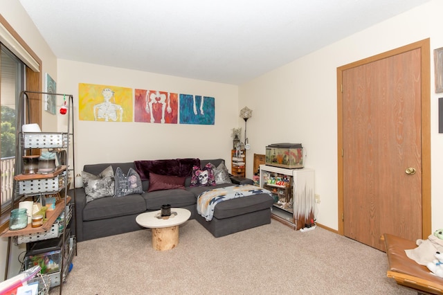 1600 Roundhouse Cir, Shakopee, MN 55379 - view of carpeted living room