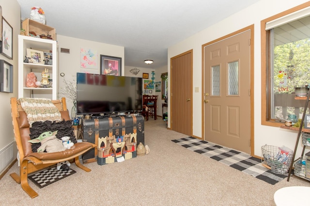 1600 Roundhouse Cir, Shakopee, MN 55379 - interior space featuring carpet
