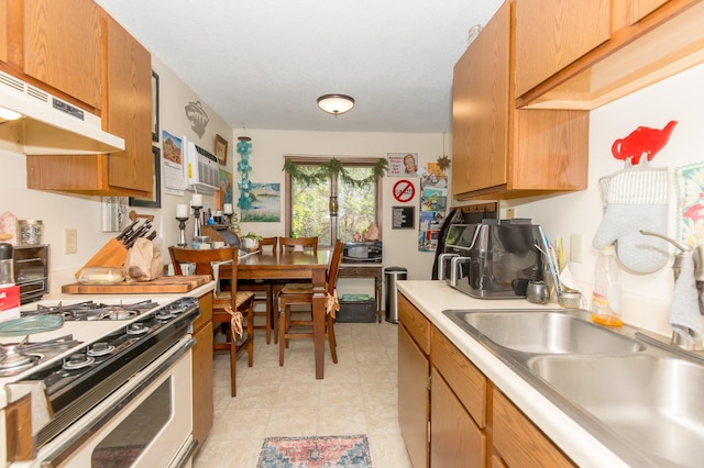1600 Roundhouse Cir, Shakopee, MN 55379 - kitchen featuring under cabinet range hood, a sink, gas range gas stove, and light countertops