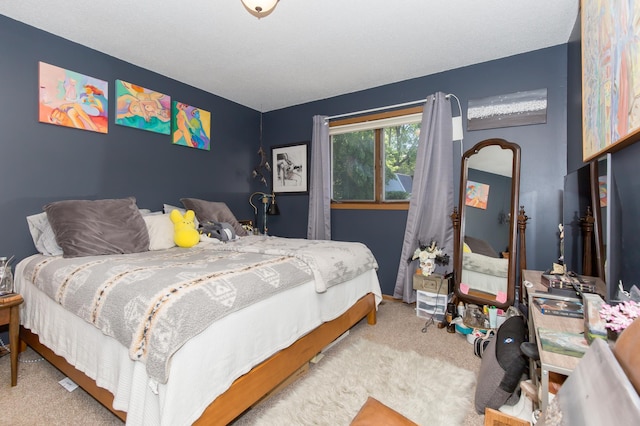 1600 Roundhouse Cir, Shakopee, MN 55379 - view of carpeted bedroom