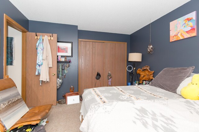 1600 Roundhouse Cir, Shakopee, MN 55379 - bedroom with a closet and carpet flooring