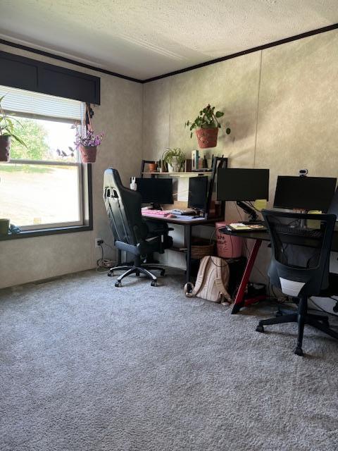 home office with carpet floors and a textured ceiling