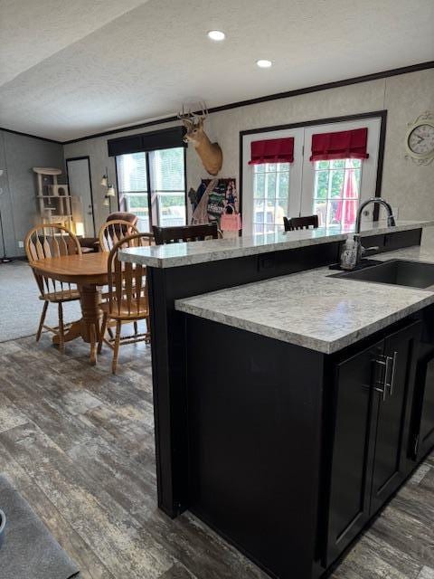 kitchen featuring a textured ceiling, dark hardwood / wood-style flooring, ornamental molding, and sink