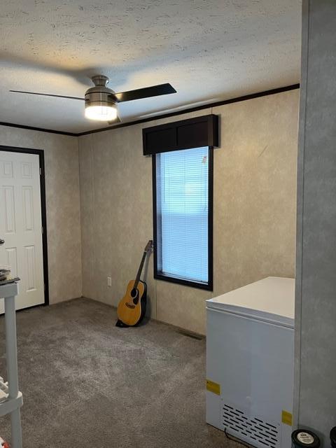 interior space featuring carpet flooring and a textured ceiling