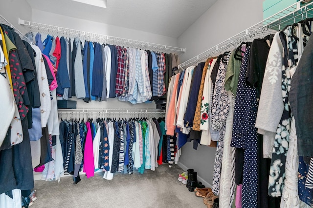 spacious closet featuring carpet