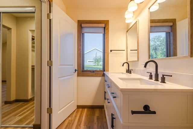 bathroom featuring a sink, baseboards, wood finished floors, and double vanity