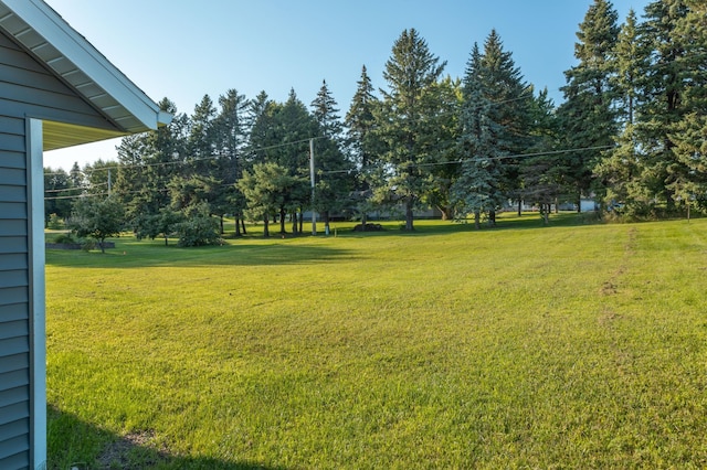 view of yard