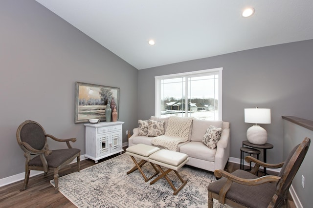 living room with lofted ceiling and wood-type flooring