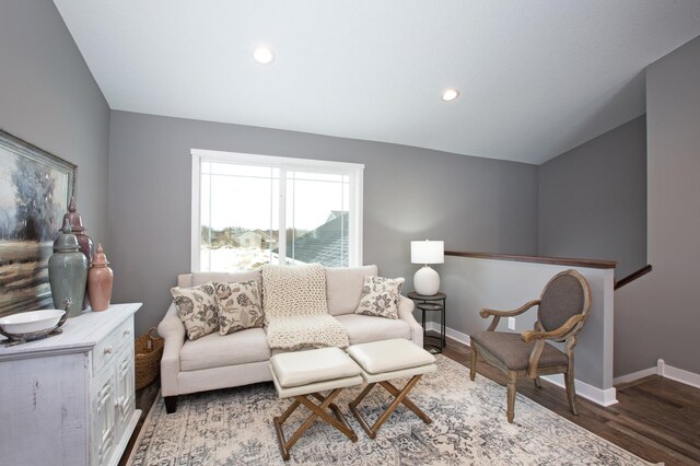 living room with hardwood / wood-style flooring and lofted ceiling