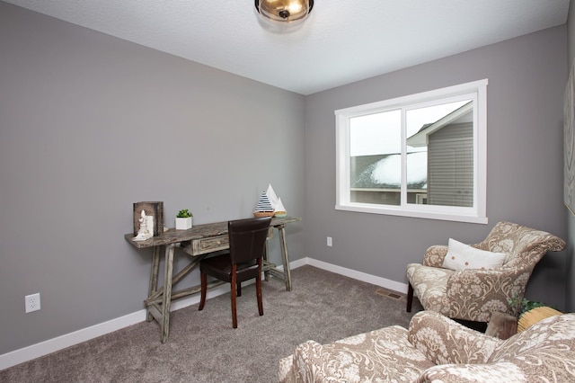 view of carpeted home office