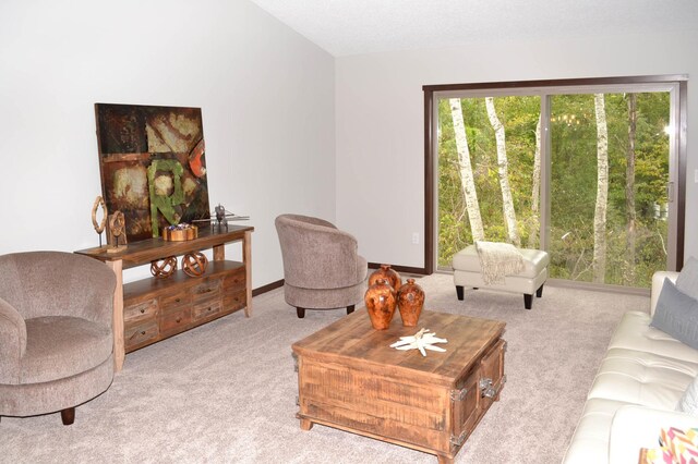 carpeted living room featuring lofted ceiling