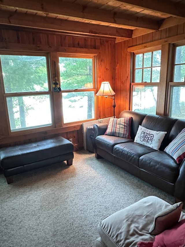 carpeted living room with wooden ceiling, beam ceiling, and wooden walls