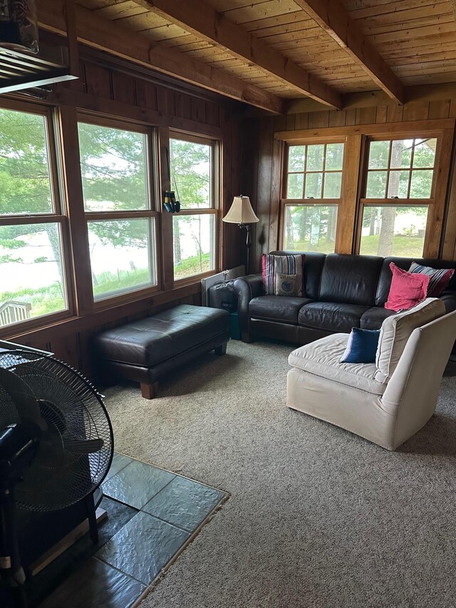 27068 Greenwood Isle Cir, Bay Lake Twp, MN 56444 - carpeted living room featuring plenty of natural light, wood walls, and wooden ceiling