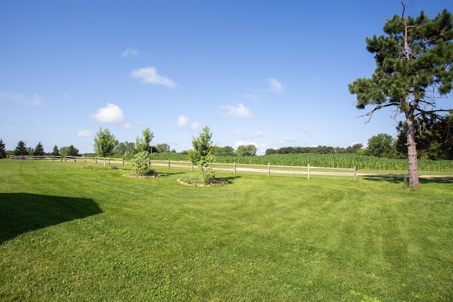 view of yard featuring a rural view