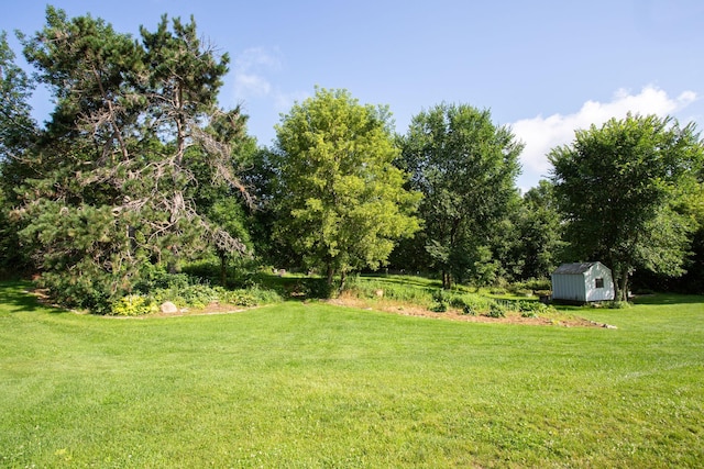 view of yard featuring a shed