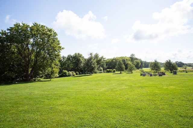 view of property's community with a yard