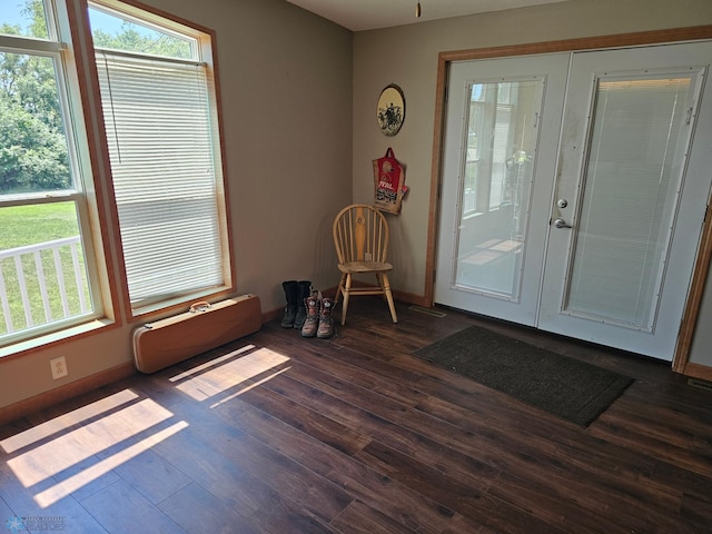 entryway featuring dark hardwood / wood-style flooring and french doors